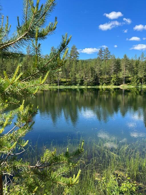 Tretoppen - Ny Moderne Hytte, Unike Finnskogen Турсбю Экстерьер фото