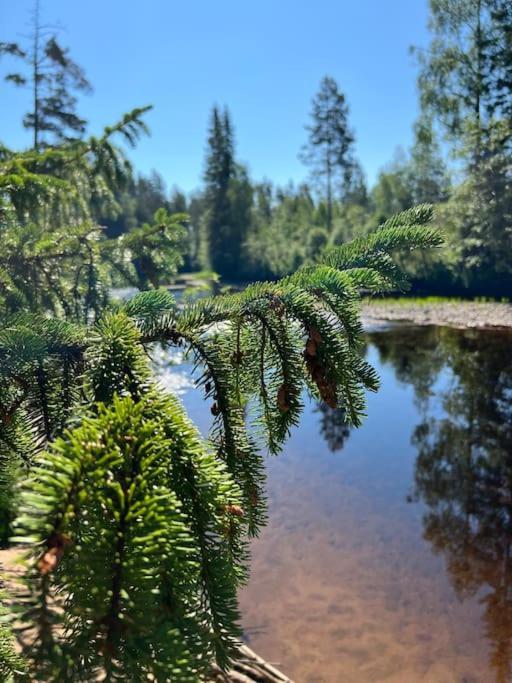 Tretoppen - Ny Moderne Hytte, Unike Finnskogen Турсбю Экстерьер фото