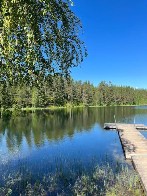 Tretoppen - Ny Moderne Hytte, Unike Finnskogen Турсбю Экстерьер фото