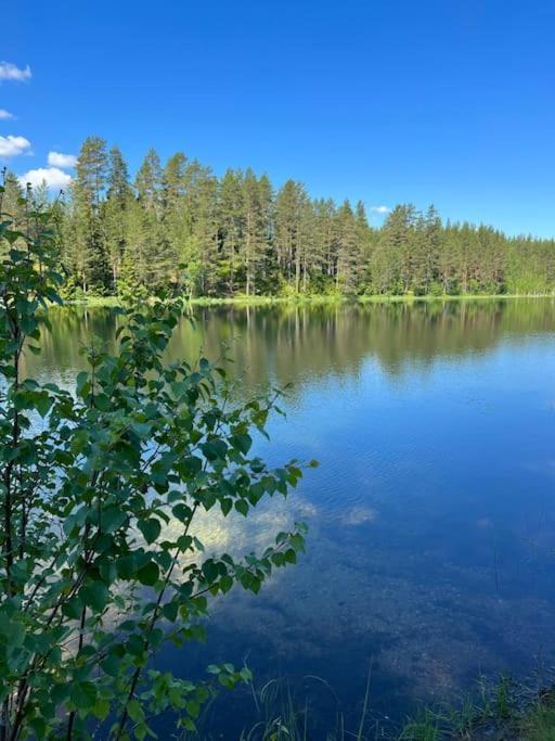 Tretoppen - Ny Moderne Hytte, Unike Finnskogen Турсбю Экстерьер фото